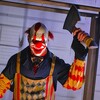 免费短剧享看